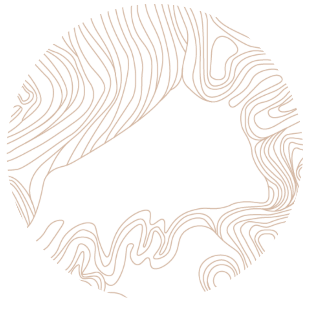 Abstract circular design with meandering beige line patterns on a black background.